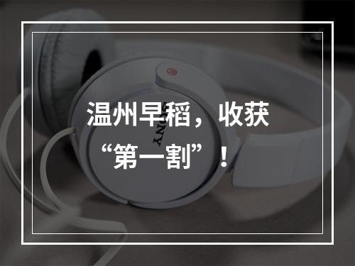 温州早稻，收获“第一割”！