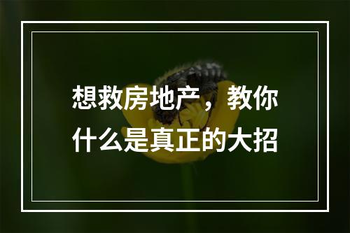 想救房地产，教你什么是真正的大招