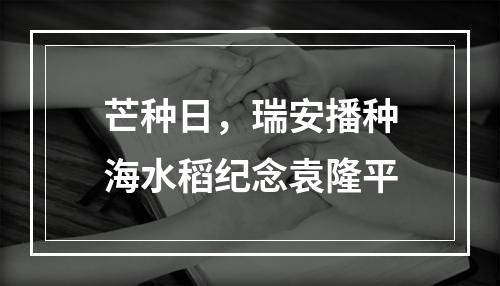 芒种日，瑞安播种海水稻纪念袁隆平