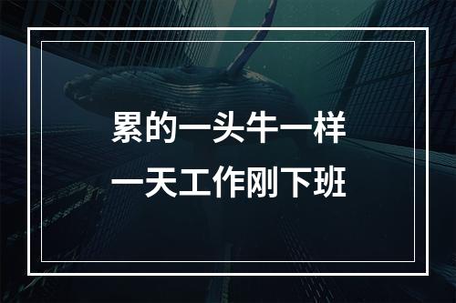 累的一头牛一样一天工作刚下班