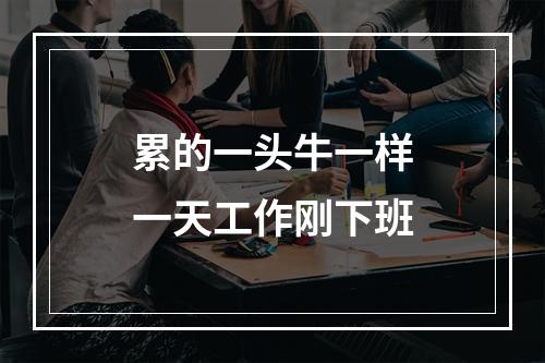 累的一头牛一样一天工作刚下班