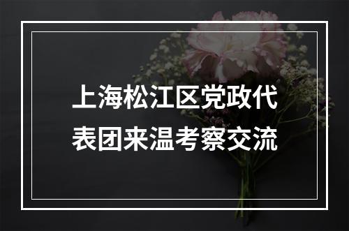 上海松江区党政代表团来温考察交流