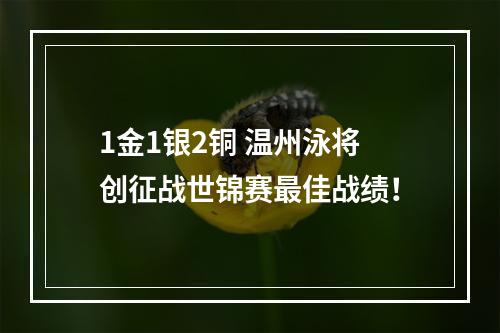1金1银2铜 温州泳将创征战世锦赛最佳战绩！