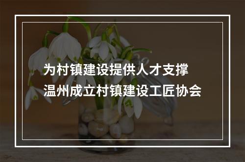 为村镇建设提供人才支撑 温州成立村镇建设工匠协会