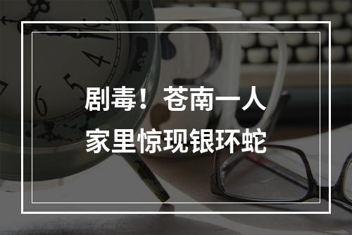 剧毒！苍南一人家里惊现银环蛇