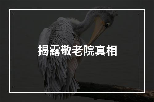 揭露敬老院真相
