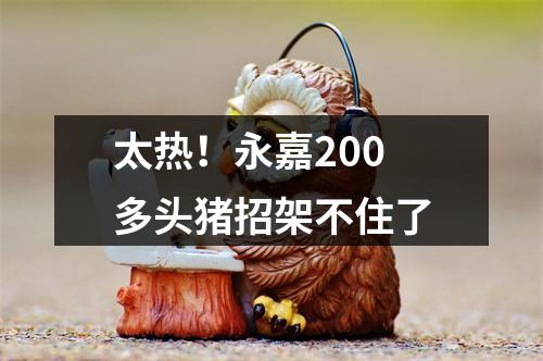 太热！永嘉200多头猪招架不住了