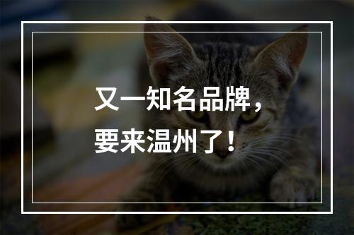 又一知名品牌，要来温州了！