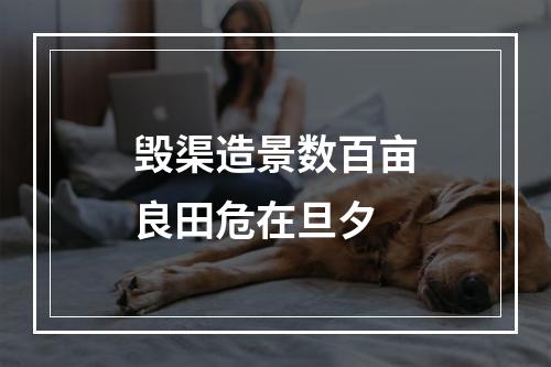 毁渠造景数百亩良田危在旦夕