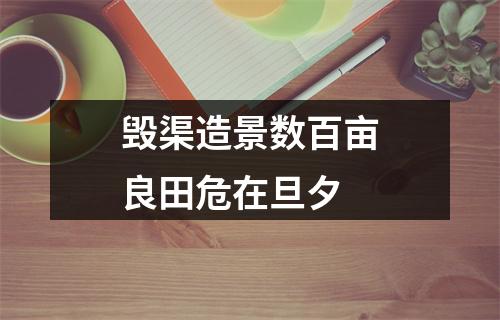 毁渠造景数百亩良田危在旦夕