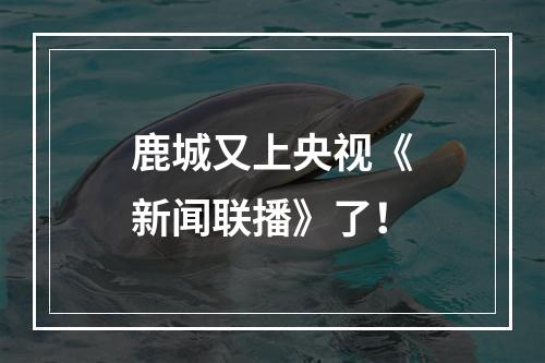 鹿城又上央视《新闻联播》了！