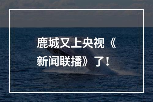 鹿城又上央视《新闻联播》了！