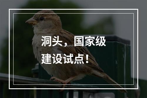 洞头，国家级建设试点！