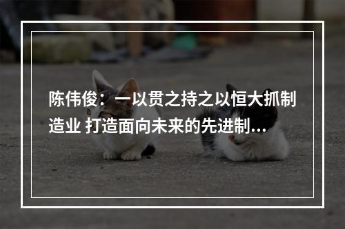 陈伟俊：一以贯之持之以恒大抓制造业 打造面向未来的先进制造业基地