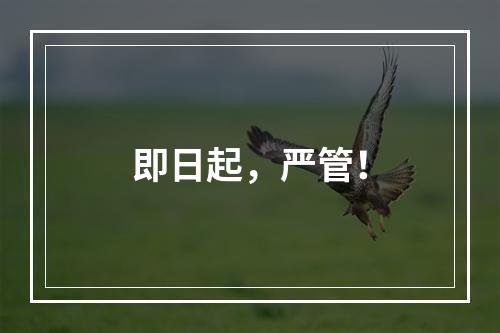 即日起，严管！