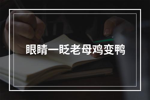 眼睛一眨老母鸡变鸭