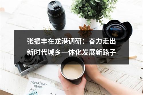 张振丰在龙港调研：奋力走出新时代城乡一体化发展新路子