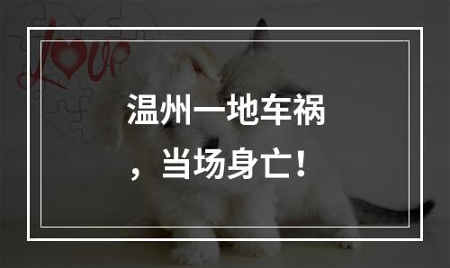 温州一地车祸，当场身亡！