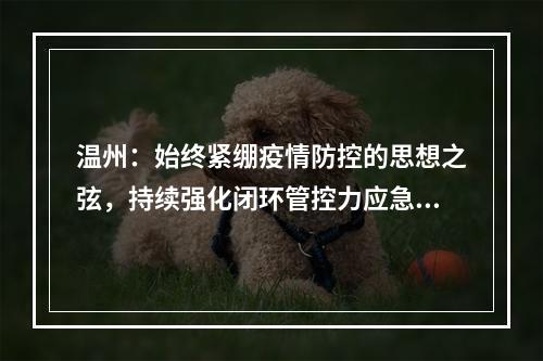 温州：始终紧绷疫情防控的思想之弦，持续强化闭环管控力应急处置力