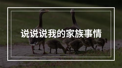 说说说我的家族事情