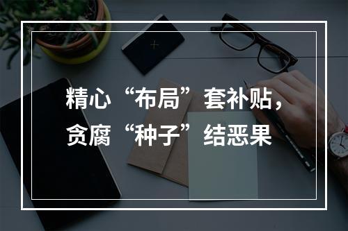 精心“布局”套补贴，贪腐“种子”结恶果