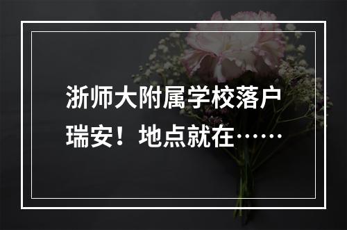 浙师大附属学校落户瑞安！地点就在……