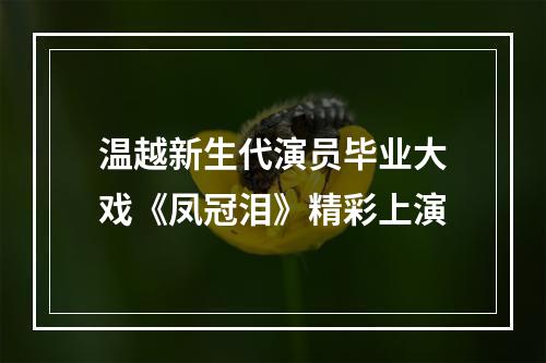 温越新生代演员毕业大戏《凤冠泪》精彩上演