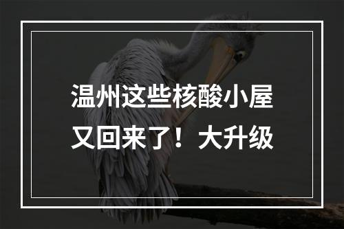 温州这些核酸小屋又回来了！大升级