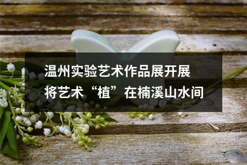 温州实验艺术作品展开展 将艺术“植”在楠溪山水间