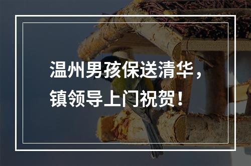温州男孩保送清华，镇领导上门祝贺！
