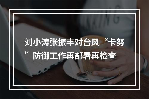 刘小涛张振丰对台风“卡努”防御工作再部署再检查