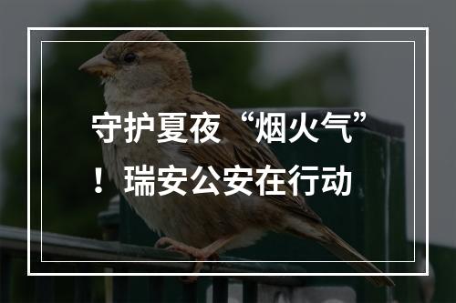 守护夏夜“烟火气”！瑞安公安在行动