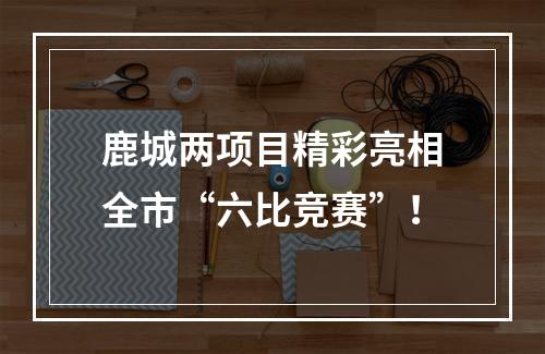 鹿城两项目精彩亮相全市“六比竞赛”！