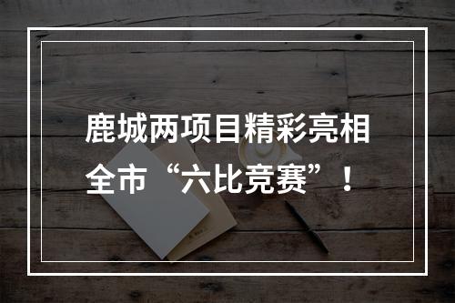 鹿城两项目精彩亮相全市“六比竞赛”！