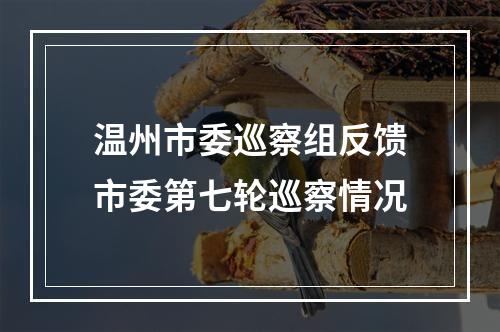 温州市委巡察组反馈市委第七轮巡察情况