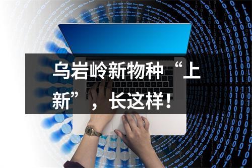 乌岩岭新物种“上新”，长这样！