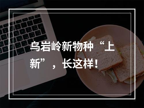 乌岩岭新物种“上新”，长这样！