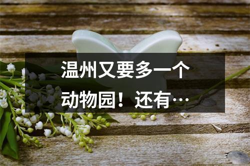 温州又要多一个动物园！还有…