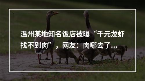 温州某地知名饭店被曝“千元龙虾找不到肉”，网友：肉哪去了！