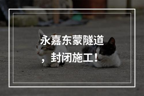 永嘉东蒙隧道，封闭施工！