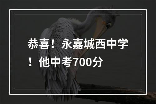 恭喜！永嘉城西中学！他中考700分