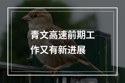 青文高速前期工作又有新进展