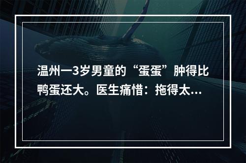 温州一3岁男童的“蛋蛋”肿得比鸭蛋还大。医生痛惜：拖得太晚了，只能切除