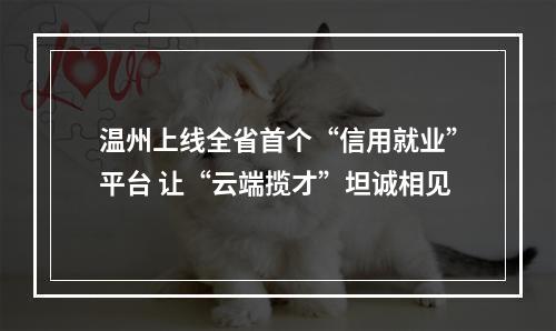 温州上线全省首个“信用就业”平台 让“云端揽才”坦诚相见