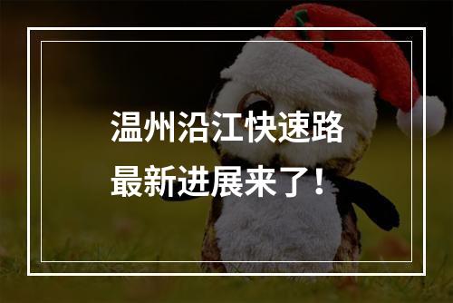 温州沿江快速路最新进展来了！