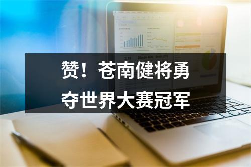 赞！苍南健将勇夺世界大赛冠军