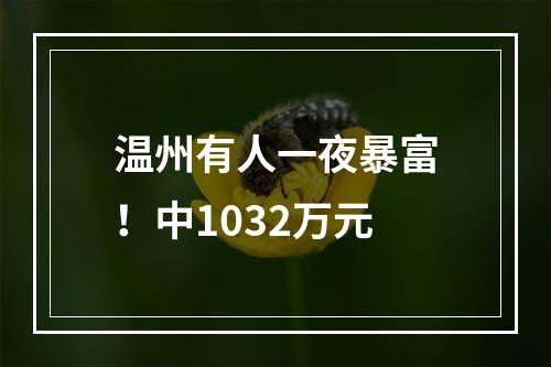 温州有人一夜暴富！中1032万元