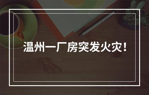 温州一厂房突发火灾！