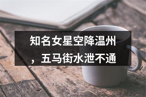 知名女星空降温州，五马街水泄不通