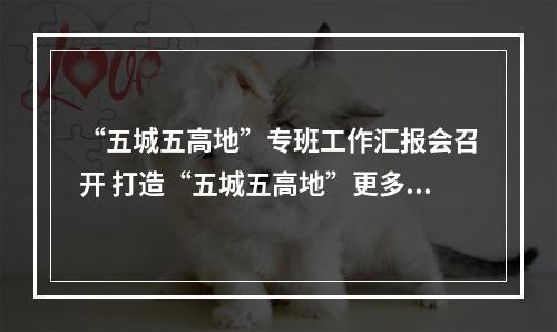 “五城五高地”专班工作汇报会召开 打造“五城五高地”更多标志性成果